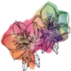 cropped-icon_FLOWER.png