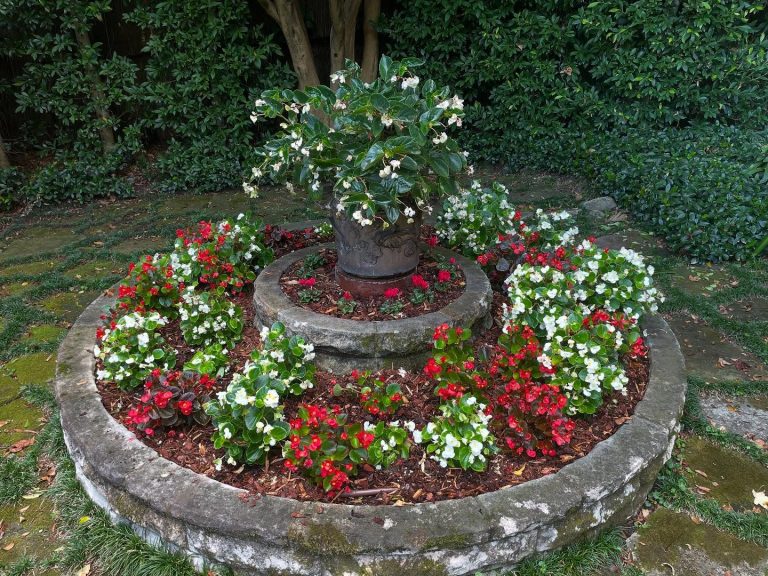 Instagram post from flora_horticulture. This post is in position 4.