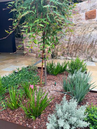 Castlecrag-courtyard-2